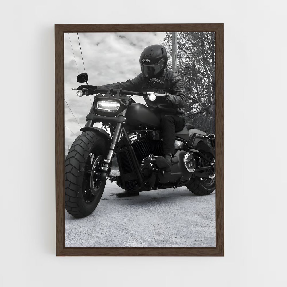 Poster splendide Low rider s – affiche Harley-Davidson (vue 5)